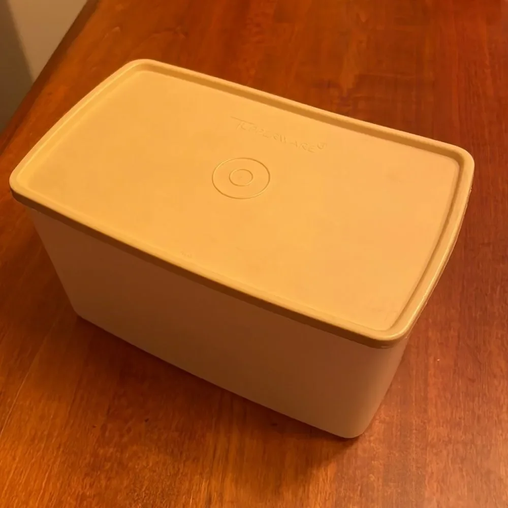 Vintage Tupperware Pak N Store Sheer Container Tan Seal Lid